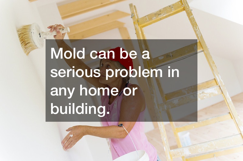 DIY Mold Removal Tips From an Experienced Homeowner