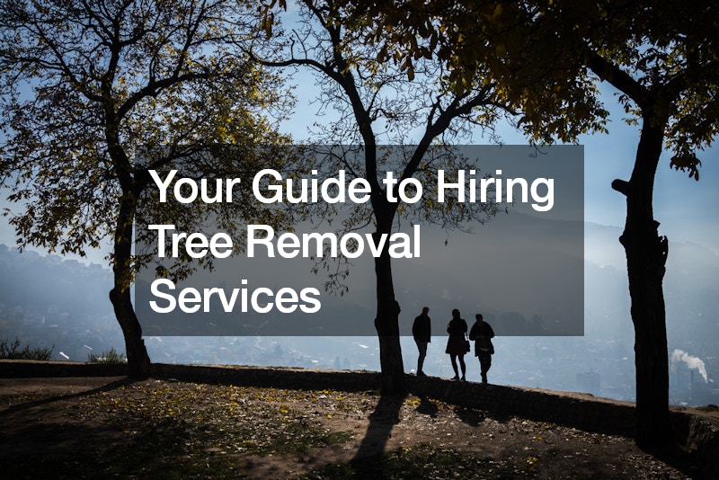 Your Guide to Hiring Tree Removal Services
