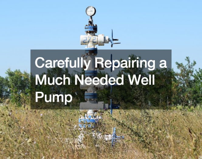 Carefully Repairing a Much Needed Well Pump