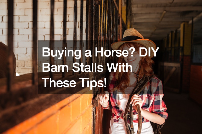 Buying a Horse? DIY Barn Stalls With These Tips!